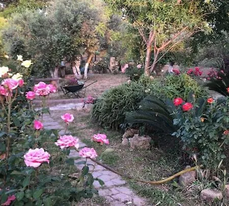 Guest house Ginevra
